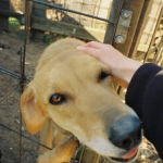 Кто виноват в потерях в казино с программами лояльности