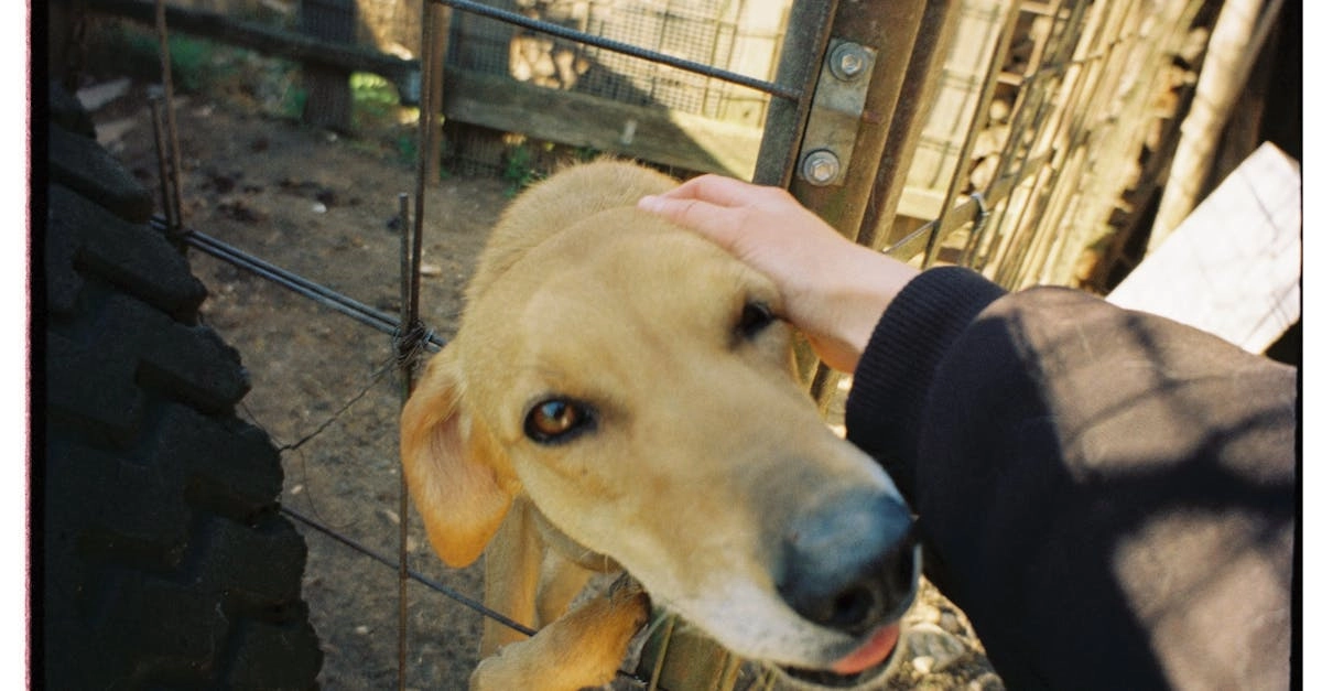 Кто виноват в потерях в казино с программами лояльности